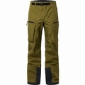 Vassi GTX Pant Men