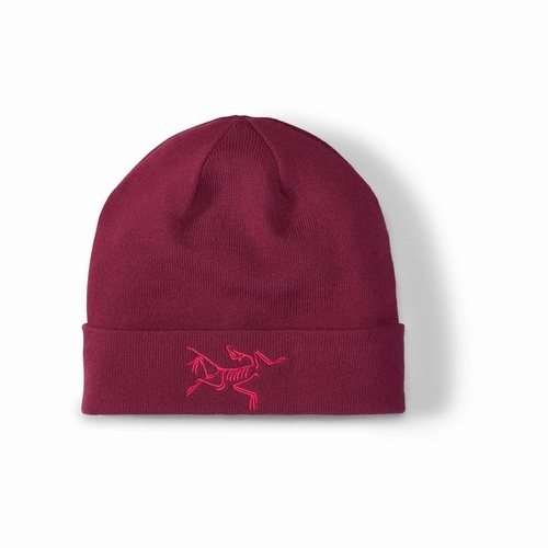 Embroidered Bird Toque （エンブロイダード バード トーク）ARC`TERYX