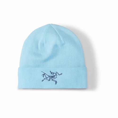 新品！！ アークテリクス ニット帽 EMBROIDERED BIRD TOQUE-